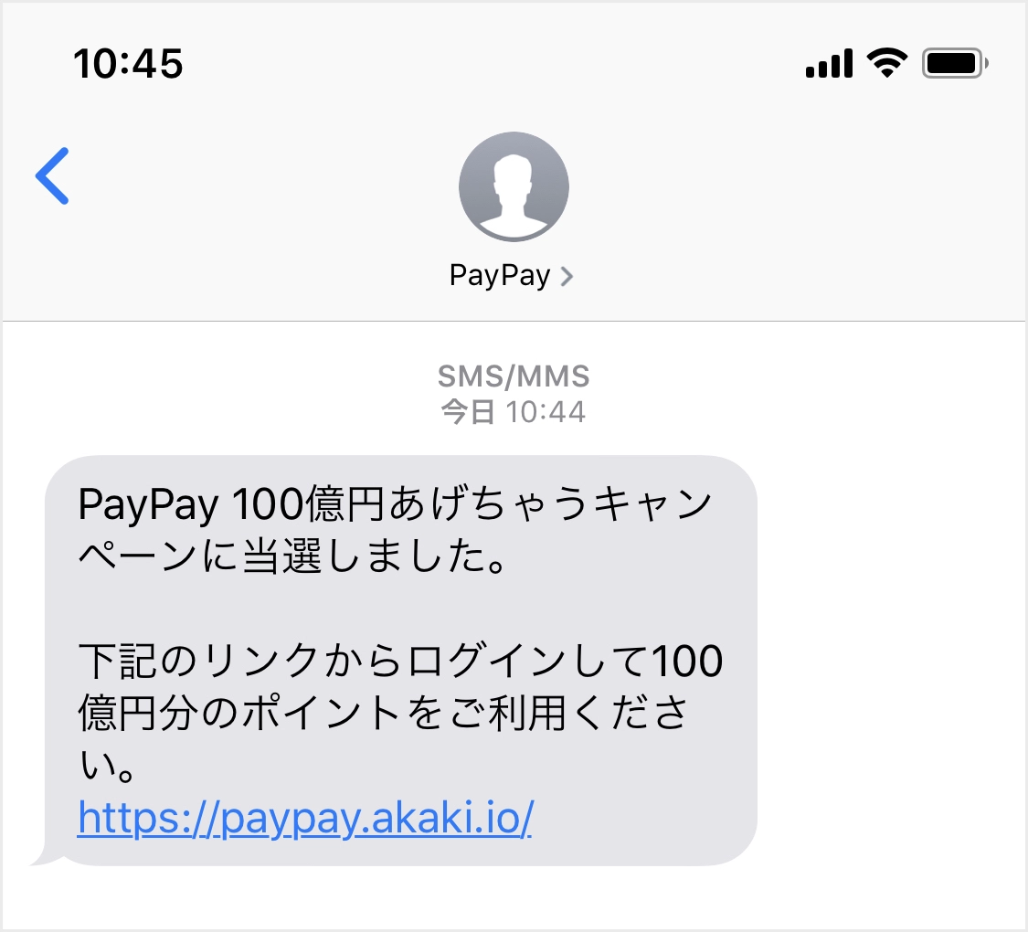 paypay_fake