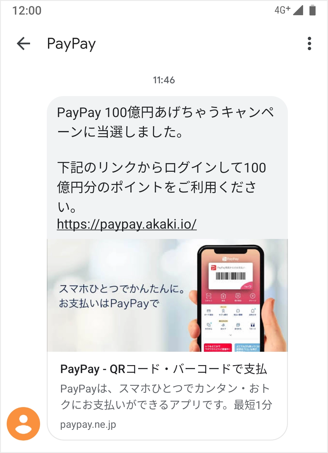 paypay_fake_preview